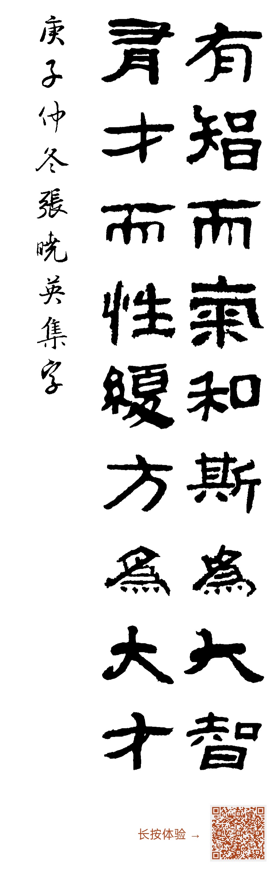 有智而气和,斯为大智;有才而性缓,方为大才。庚子仲冬张晓英集字