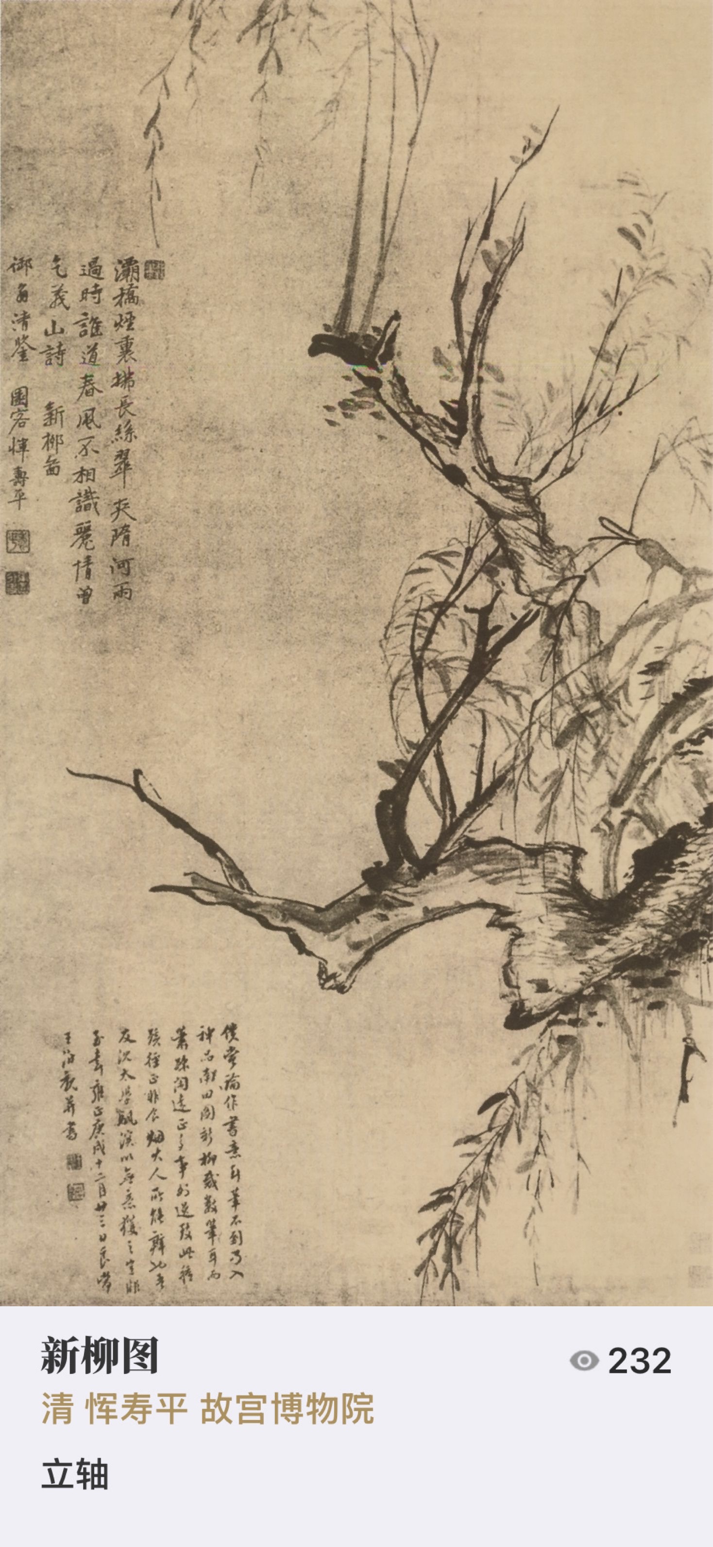 鼯ִ